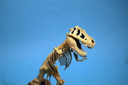 T-Rex